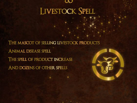 spell book cover 10
