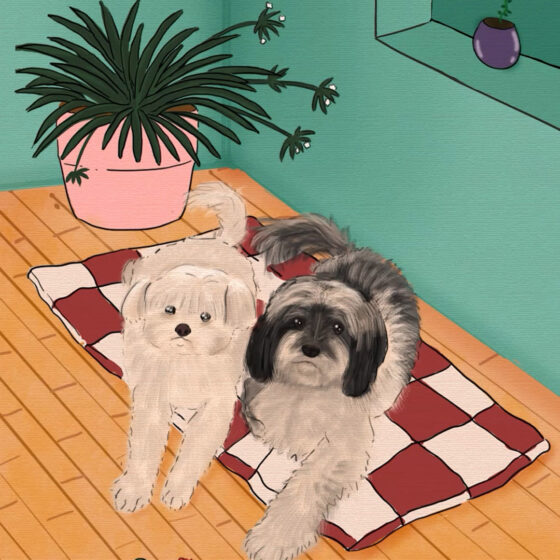 two dogs sitting